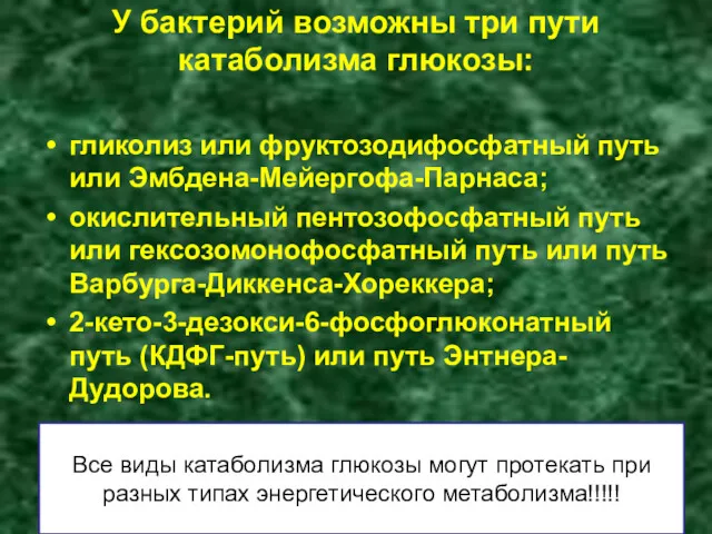 У бактерий возможны три пути катаболизма глюкозы: гликолиз или фруктозодифосфатный