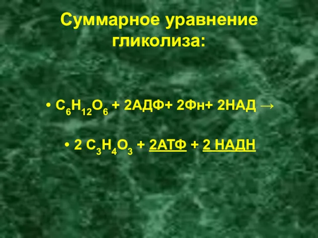 Cуммарное уравнение гликолиза: С6Н12О6 + 2АДФ+ 2Фн+ 2НАД → 2 С3Н4О3 + 2АТФ + 2 НАДН