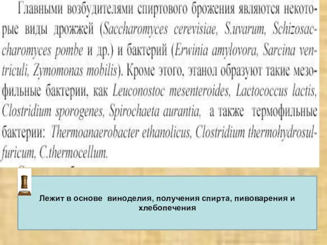 Лежит в основе виноделия, получения спирта, пивоварения и хлебопечения