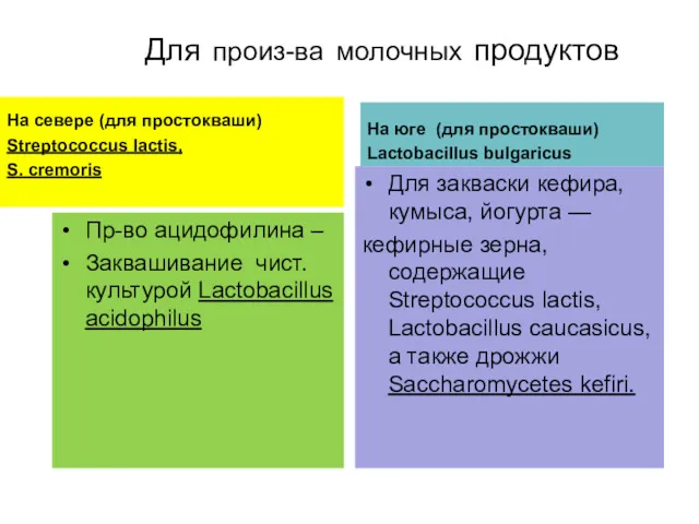 Для произ-ва молочных продуктов На севере (для простокваши) Streptococcus lactis,