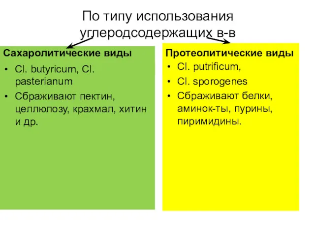 По типу использования углеродсодержащих в-в Сахаролитические виды Cl. butyricum, Cl.