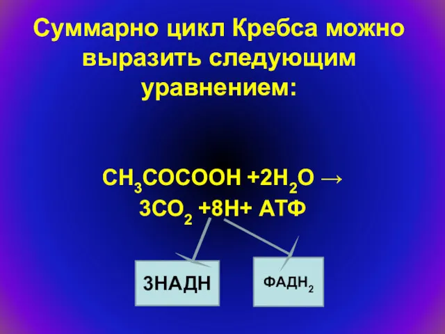 Суммарно цикл Кребса можно выразить следующим уравнением: СН3СОСООН +2Н2О → 3СО2 +8Н+ АТФ 3НАДН ФАДН2