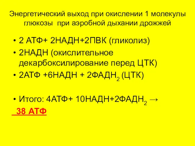 Энергетический выход при окислении 1 молекулы глюкозы при аэробной дыхании