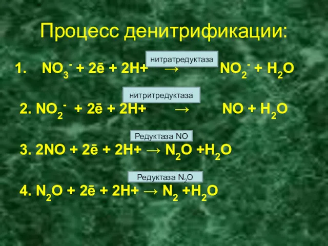 Процесс денитрификации: NO3- + 2ē + 2H+ → NO2- +