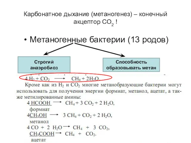 Карбонатное дыхание (метаногенез) – конечный акцептор СО2 ! Метаногенные бактерии