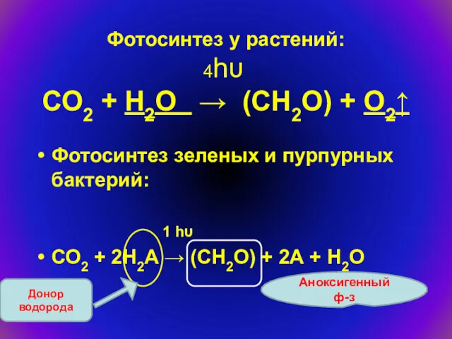 Фотосинтез у растений: 4hυ СО2 + Н2О → (СН2О) +