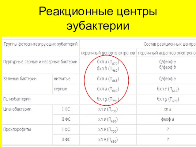 Реакционные центры эубактерии