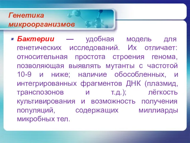 Генетика микроорганизмов Бактерии — удобная модель для генетических исследований. Их