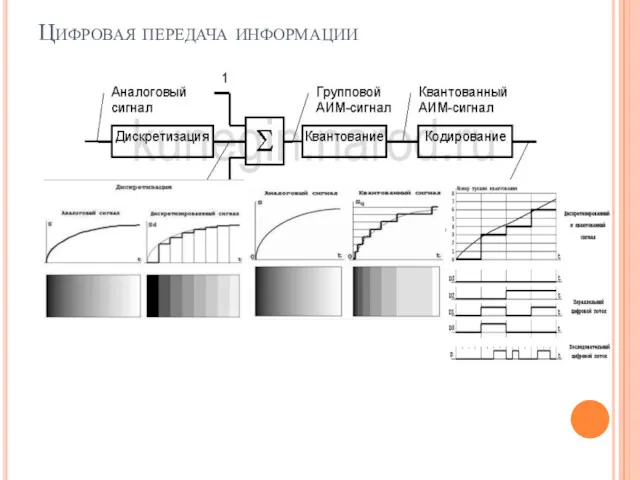 Цифровая передача информации