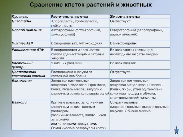 Сравнение клеток растений и животных