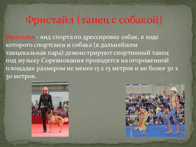 Фристайл (танец с собакой) Фристайл - вид спорта по дрессировке собак, в ходе