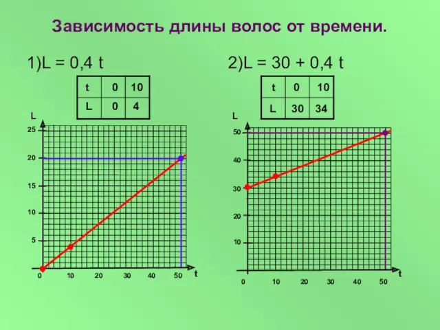 Зависимость длины волос от времени. 1)L = 0,4 t 2)L