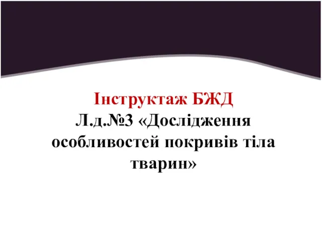 Інструктаж БЖД Л.д.№3 «Дослідження особливостей покривів тіла тварин»