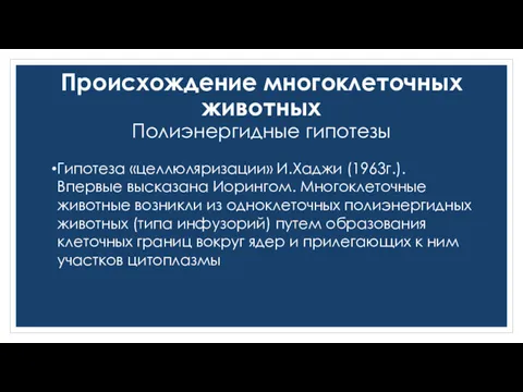 Гипотеза «целлюляризации» И.Хаджи (1963г.). Впервые высказана Иорингом. Многоклеточные животные возникли