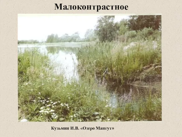 Кузьмин И.В. «Озеро Мангут» Малоконтрастное