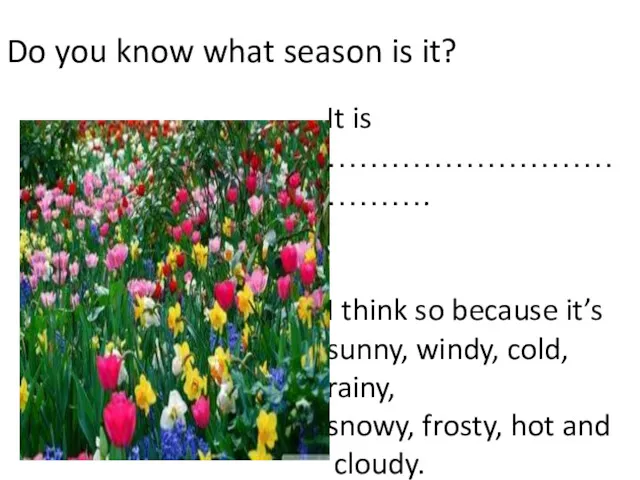 Do you know what season is it? It is ……………………………….