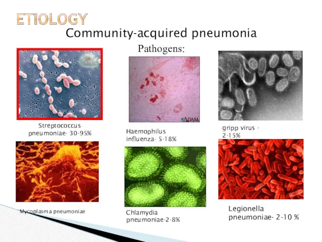 Community-acquired pneumonia Pathogens: Streptococcus pneumoniae- 30-95% Haemophilus influenza- 5-18% Mycoplasma