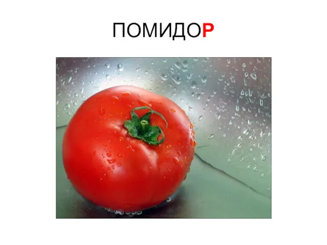 ПОМИДОР