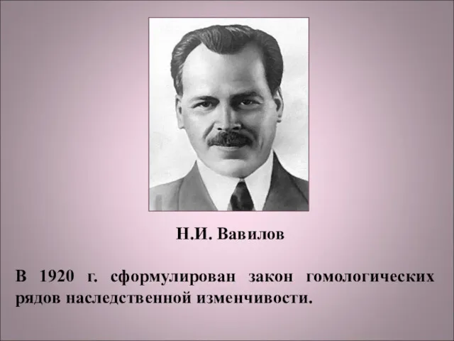 Н.И. Вавилов В 1920 г. сформулирован закон гомологических рядов наследственной изменчивости.