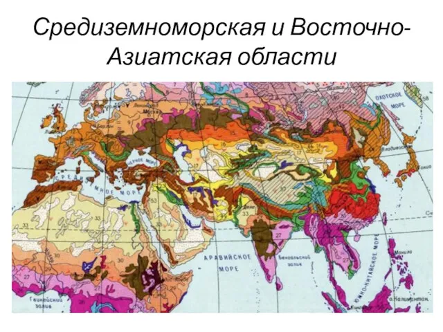 Средиземноморская и Восточно-Азиатская области