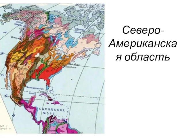 Северо-Американская область