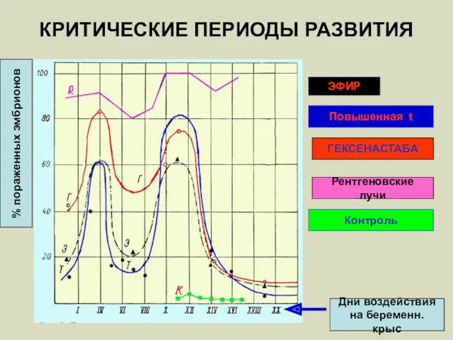 КРИТИЧЕСКИЕ ПЕРИОДЫ РАЗВИТИЯ ЭФИР ГЕКСЕНАСТАБА Повышенная t Рентгеновские лучи Контроль Дни воздействия на