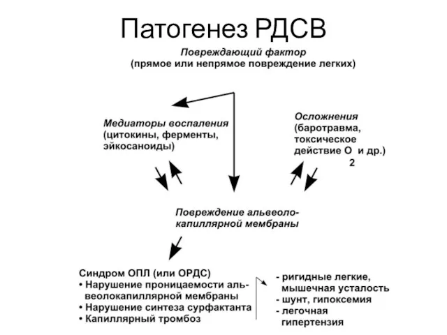 Патогенез РДСВ