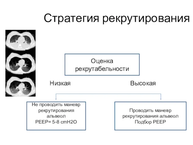 Стратегия рекрутирования Оценка рекрутабельности Низкая Высокая Не проводить маневр рекрутирования