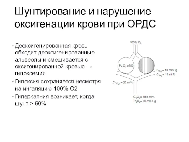 Шунтирование и нарушение оксигенации крови при ОРДС Деоксигенированная кровь обходит