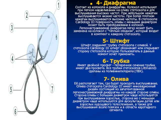 4- Диафрагма Состоит из колокола и диафрагмы. Колокол используют при