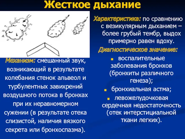 Жесткое дыхание Механизм: смешанный звук, возникающий в результате колебания стенок