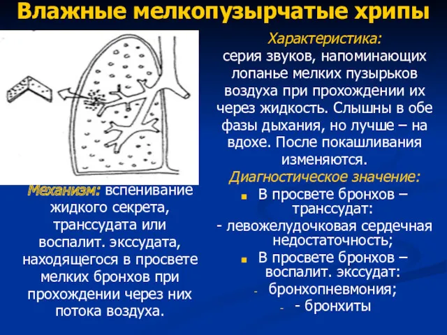 Влажные мелкопузырчатые хрипы Механизм: вспенивание жидкого секрета, транссудата или воспалит.