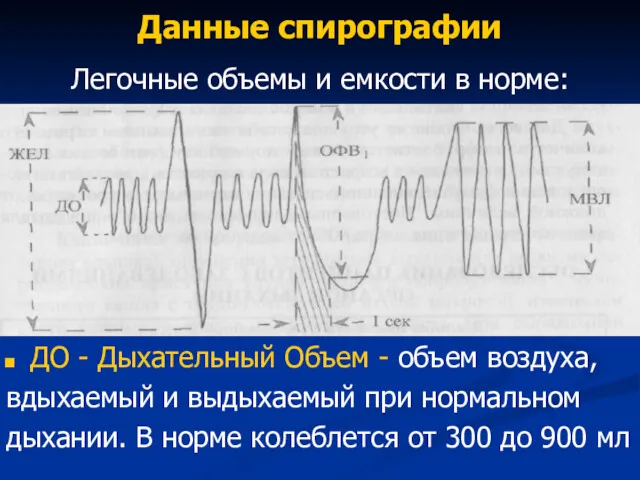 Данные спирографии Легочные объемы и емкости в норме: ДО -