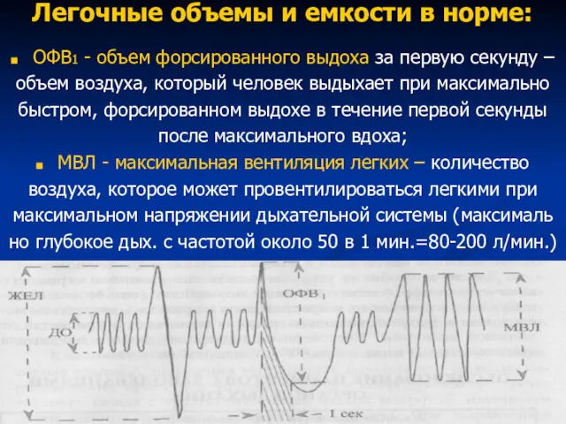 Легочные объемы и емкости в норме: ОФВ1 - объем форсированного