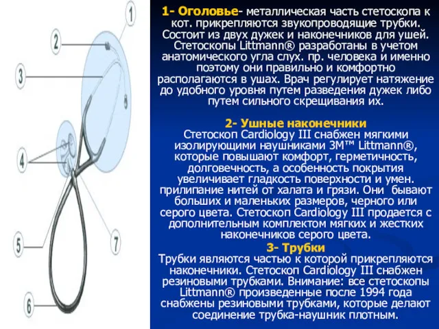 1- Оголовье- металлическая часть стетоскопа к кот. прикрепляются звукопроводящие трубки.