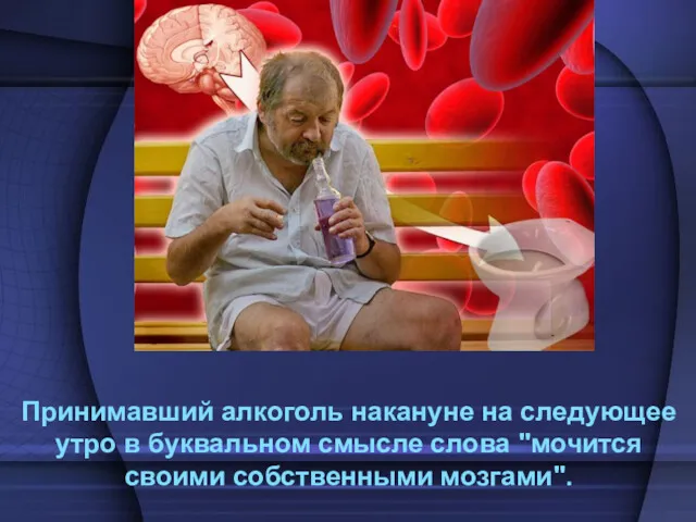 Принимавший алкоголь накануне на следующее утро в буквальном смысле слова "мочится своими собственными мозгами".