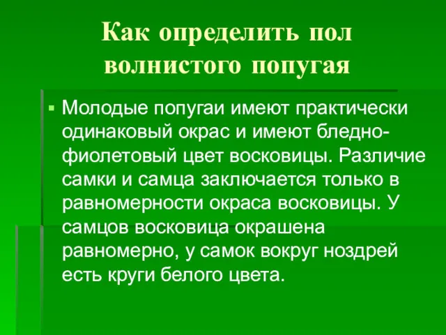 Как определить пол волнистого попугая Молодые попугаи имеют практически одинаковый