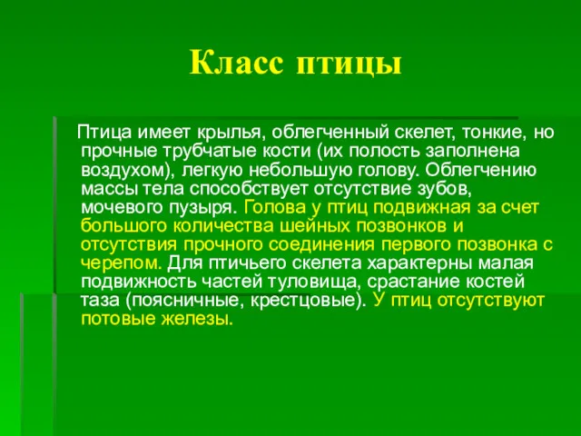 Класс птицы Птица имеет крылья, облегченный скелет, тонкие, но прочные