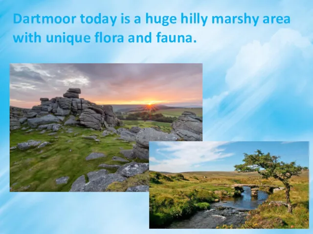 Dartmoor today is a huge hilly marshy area with unique flora and fauna.