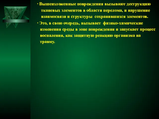 ∙ Вышеизложенные повреждения вызывают деструкцию тканевых элементов в области перелома,