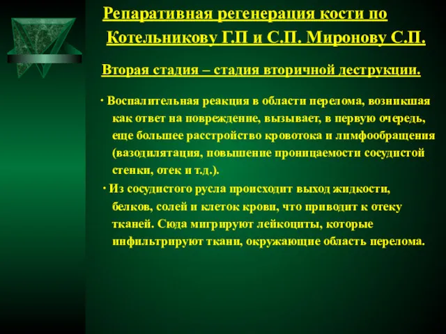 Репаративная регенерация кости по Котельникову Г.П и С.П. Миронову С.П.