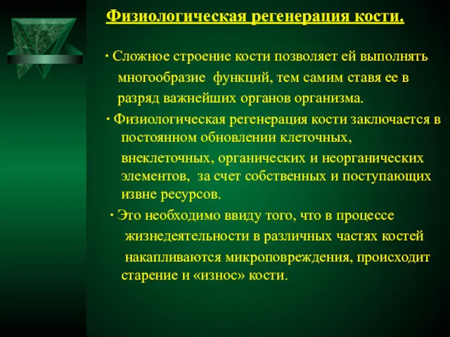 Физиологическая регенерация кости. ∙ Сложное строение кости позволяет ей выполнять