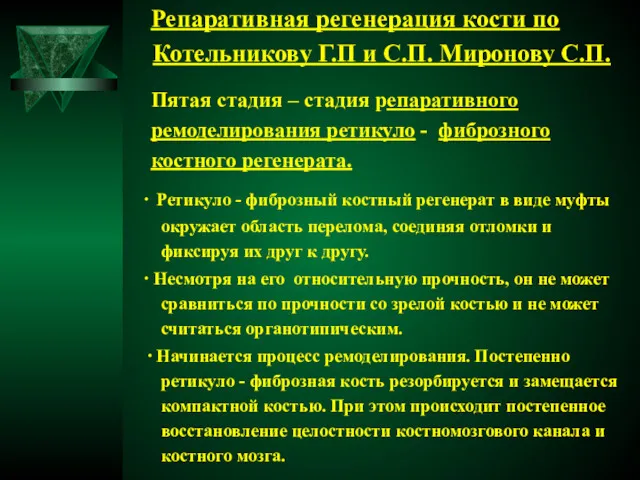 Репаративная регенерация кости по Котельникову Г.П и С.П. Миронову С.П.