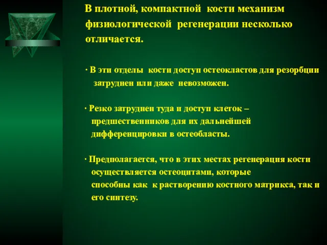 В плотной, компактной кости механизм физиологической регенерации несколько отличается. ∙