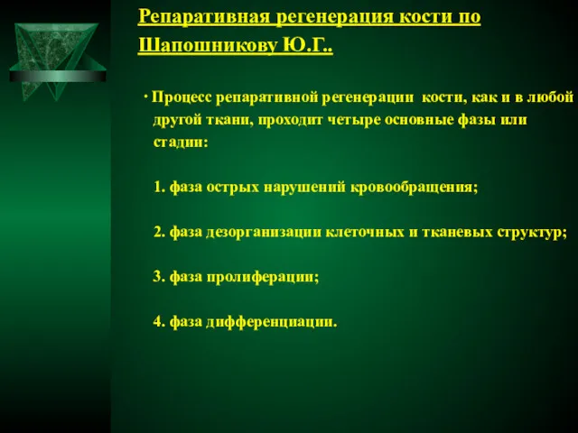 Репаративная регенерация кости по Шапошникову Ю.Г.. ∙ Процесс репаративной регенерации