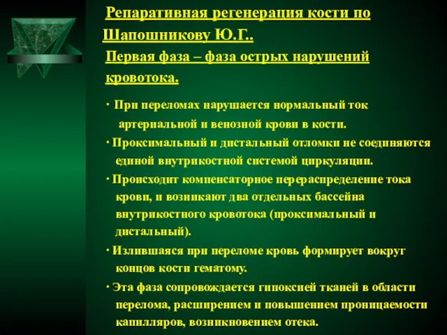 Репаративная регенерация кости по Шапошникову Ю.Г.. Первая фаза – фаза