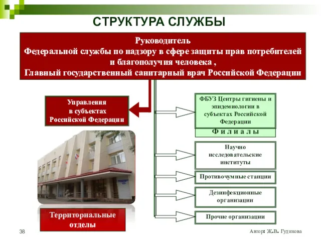 Управления в субъектах Российской Федерации ФБУЗ Центры гигиены и эпидемиологии