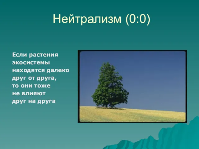 Нейтрализм (0:0) Если растения экосистемы находятся далеко друг от друга, то они тоже