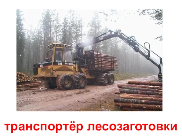 транспортёр лесозаготовки