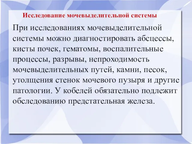 Исследование мочевыделительной системы При исследованиях мочевыделительной системы можно диагностировать абсцессы,